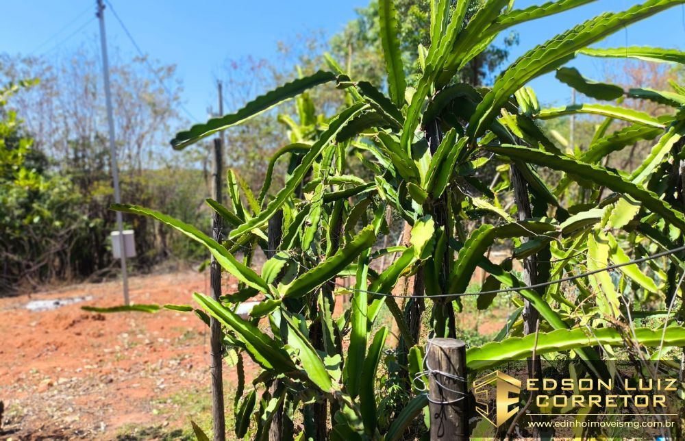 357 - Chácara à venda no bairro Chácara Pavão - Edinho Imóveis 0