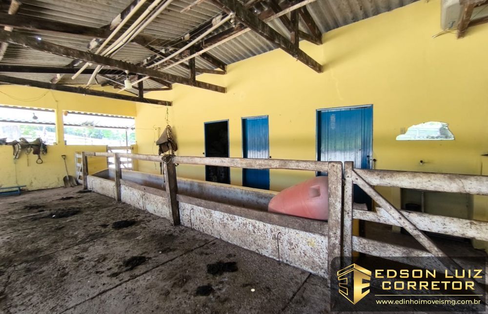 368 - Fazenda &agrave; venda no bairro Fazenda - Edinho Im&oacute;veis 10