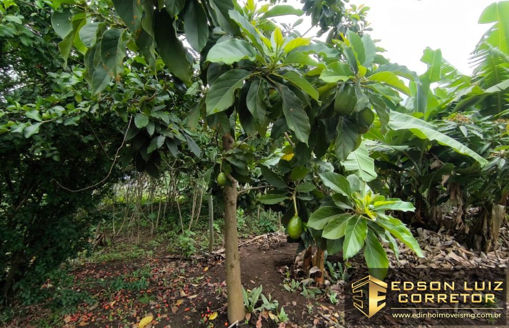 372 - Chácara &agrave; venda no bairro Chacara Padre Liberio - Edinho Im&oacute;veis 1