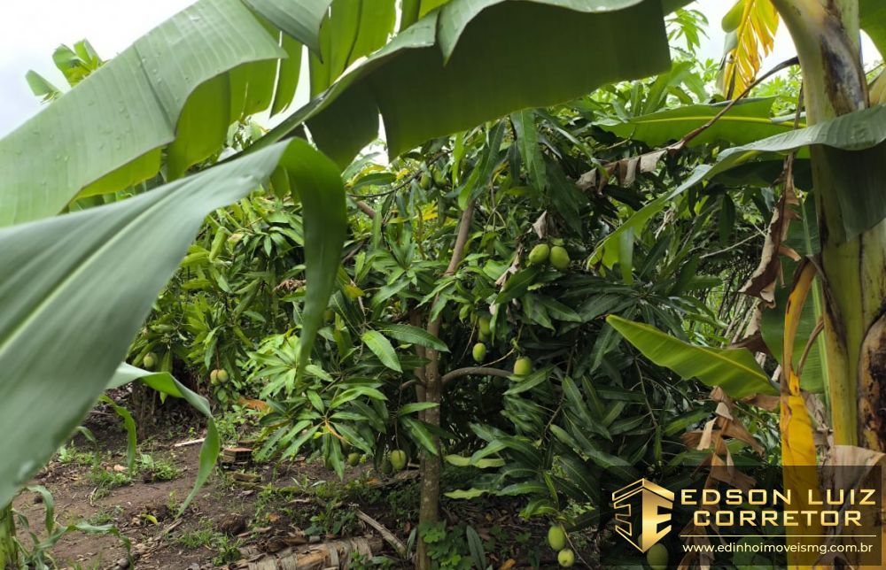 372 - Chácara &agrave; venda no bairro Chacara Padre Liberio - Edinho Im&oacute;veis 6